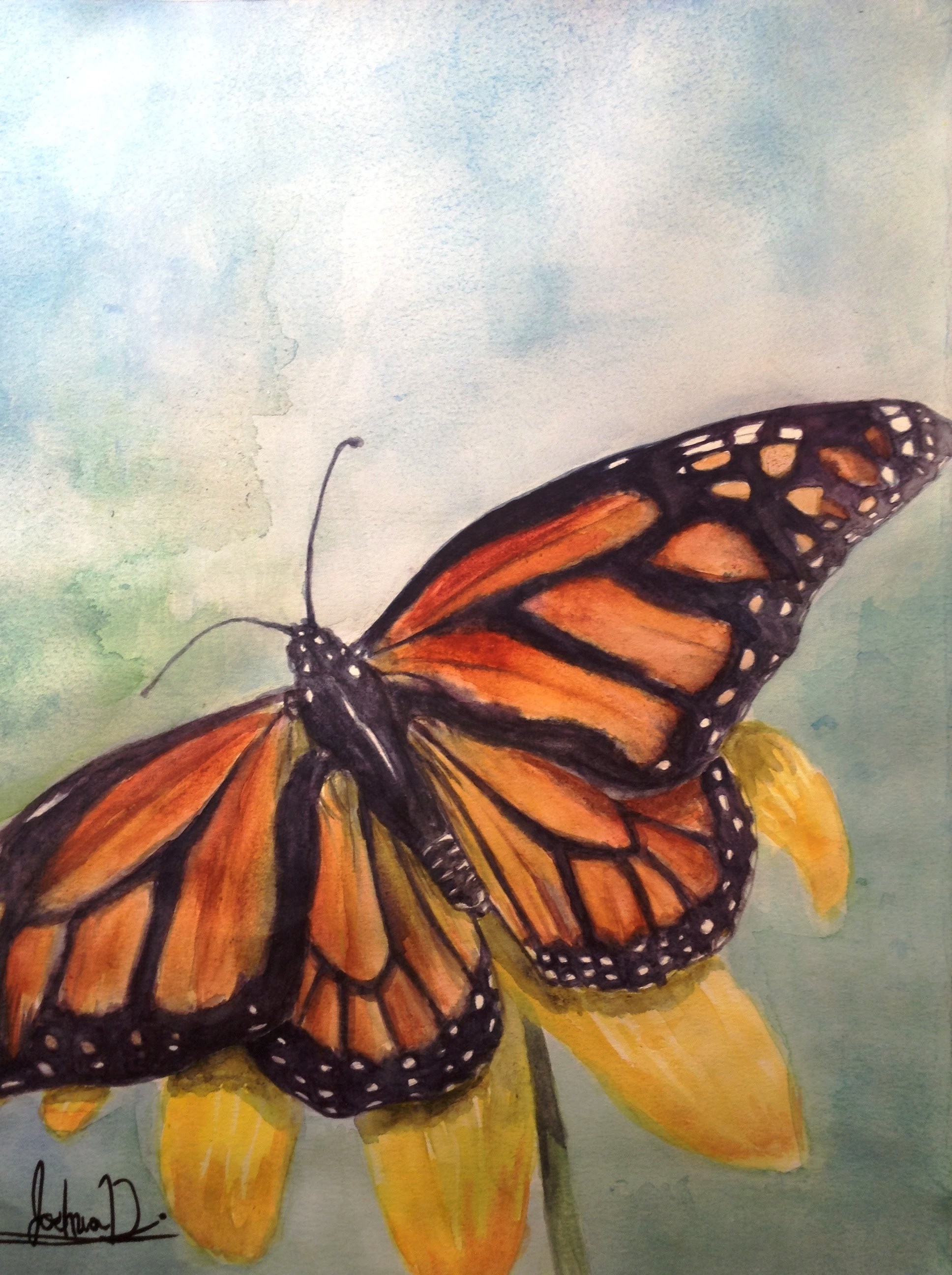 1936x2592 Realistic Watercolor Painting Of A Monarch Butterfly