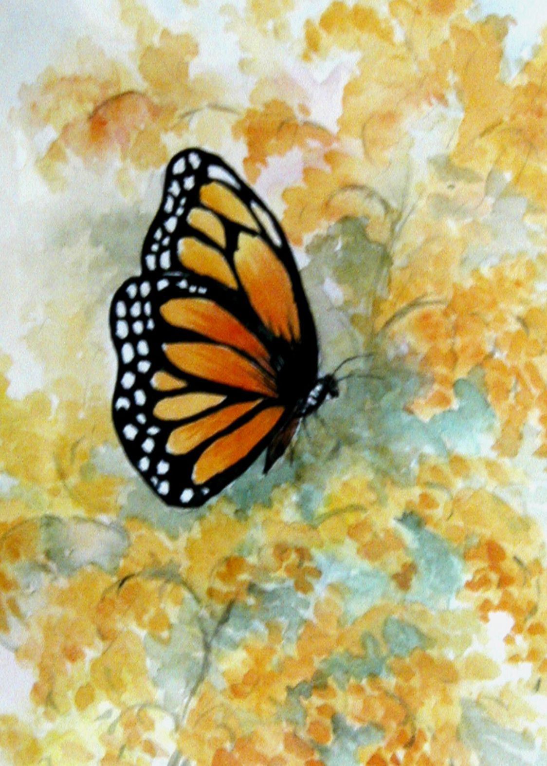 1124x1573 Watercolor Drawings Of Butterflies Monarch Butterfly On