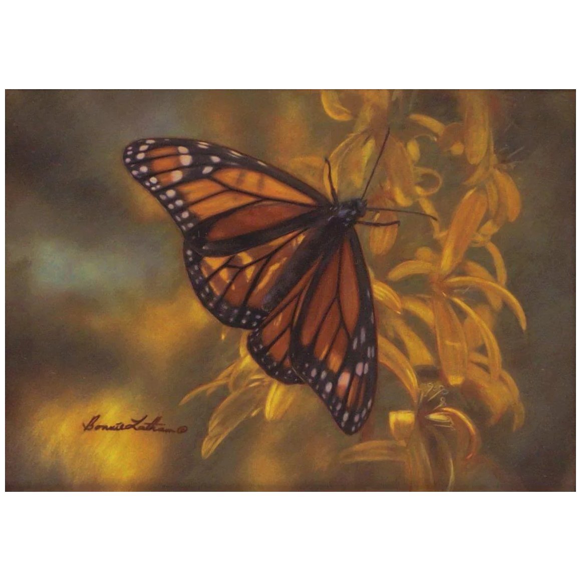 1160x1160 Golden Delight Monarch Butterfly, Original Watercolor Painting By