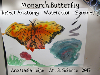 350x263 Monarch Butterflies Watercolor By Anastasiathinks Tpt