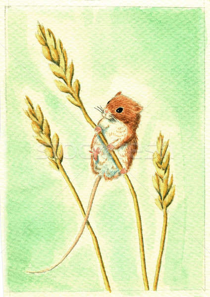 424x600 Field Mouse Watercolor Stock Photo Linda Bucklin (Aliencat