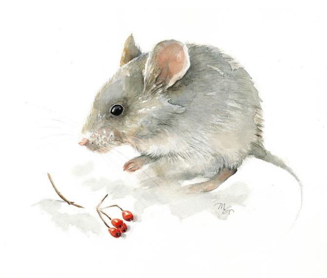670x570 Mouse Watercolor Archival Print Mira Guerquin Watercolors
