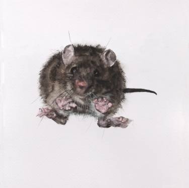 375x374 Animal Little Mouse