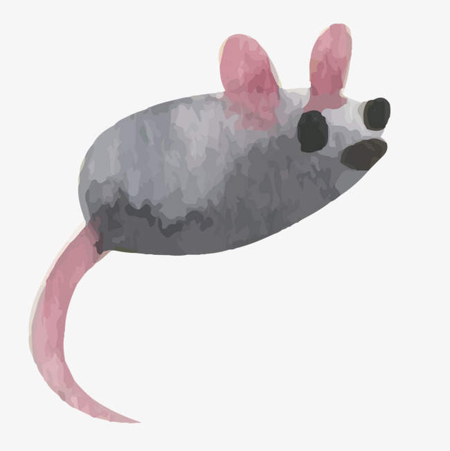 650x651 Vector Watercolor Mouse, Vector, Watercolor, Mouse Png And Vector