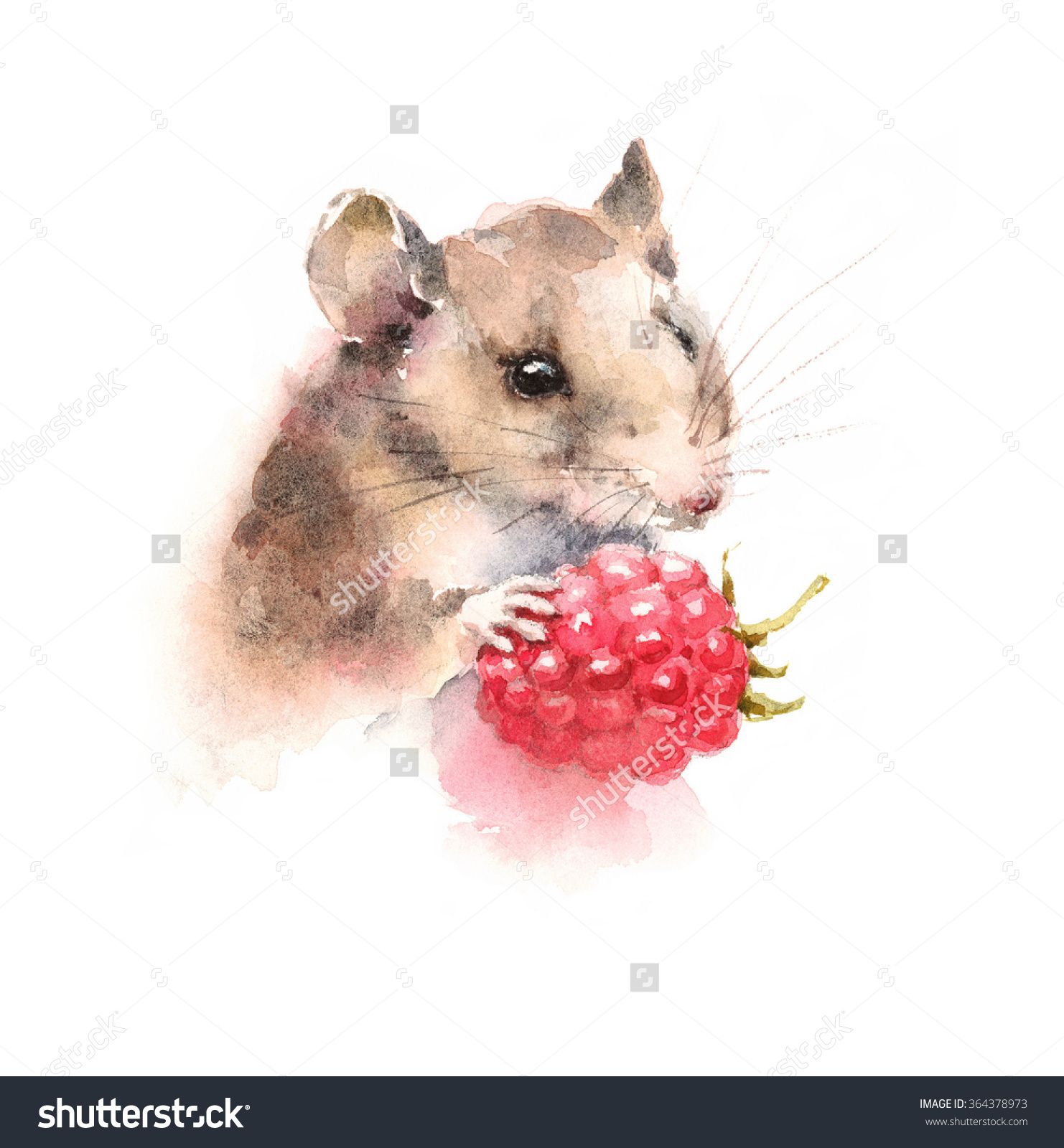 1482x1600 Stock Photo Watercolor Mouse Holding A Berry Raspberry Wild Animal
