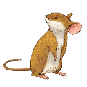 300x300 Cheer Up, Mouse! Sketches