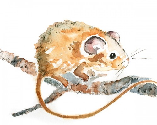 500x400 Cute Mouse Watercolor, Nursery Art Print