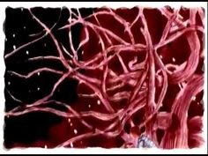 236x177 Irina Dakeva