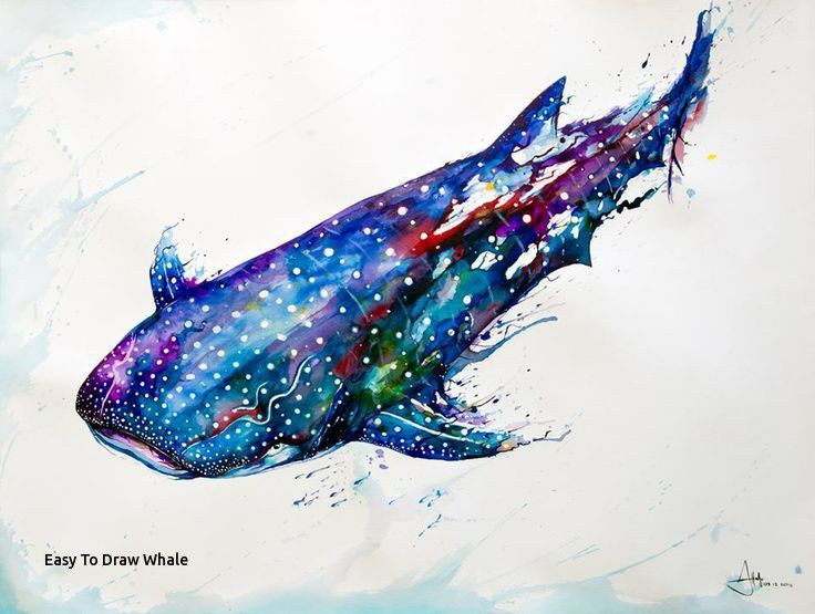 736x555 Easy To Draw Whale Whale Print Watercolor Narwhal Art Space Print