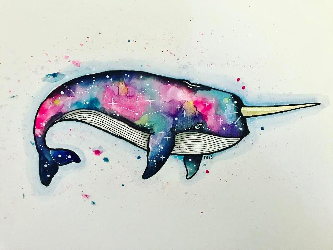 1080x810 Image Result For Galaxy Narwhal Watercolor