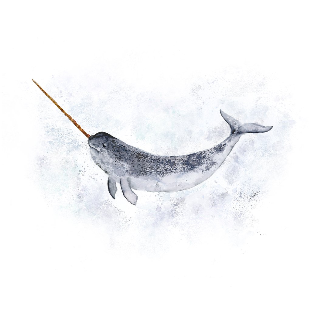 1024x1024 Narwhal Art Nursery Print Tiny Toes Design