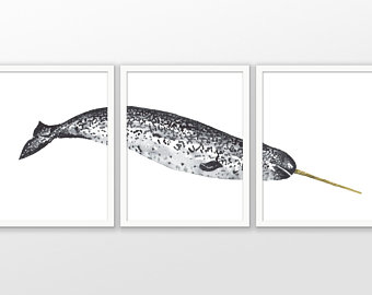 340x270 Narwhal Watercolor Etsy