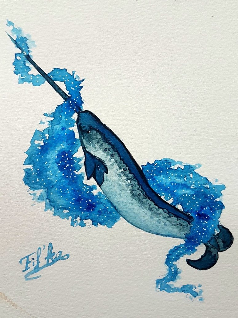 774x1032 Watercolor Narwhal By Eif Ka