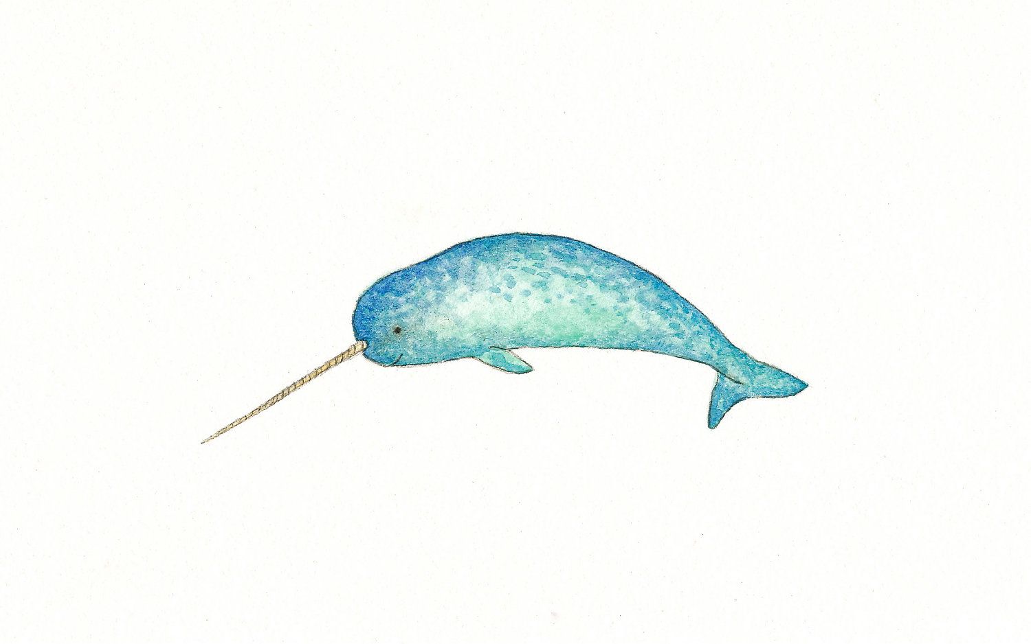 1500x938 Narwhal Clipart