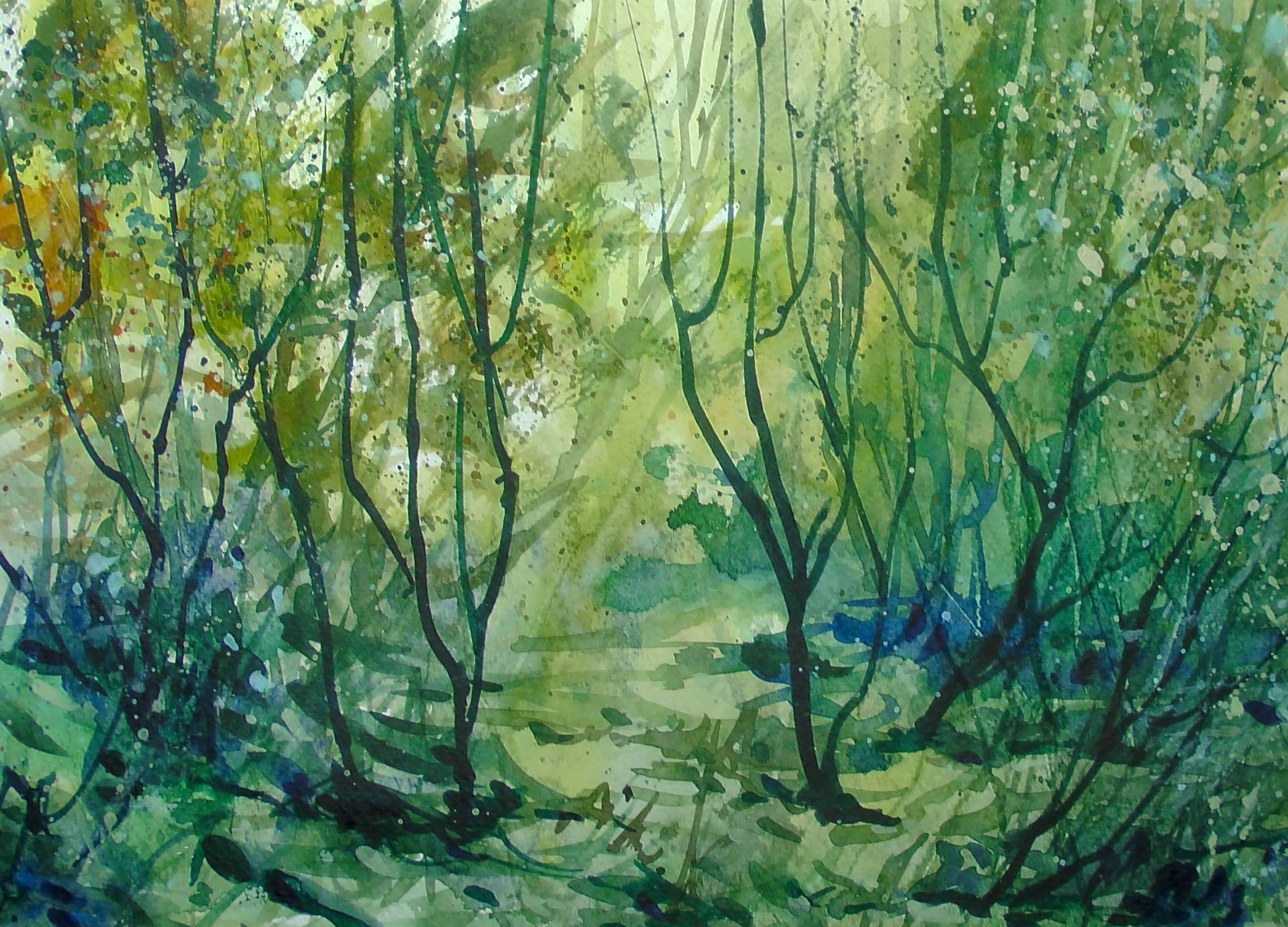 3000x2160 Watercolor Wild Nature 20x Speed