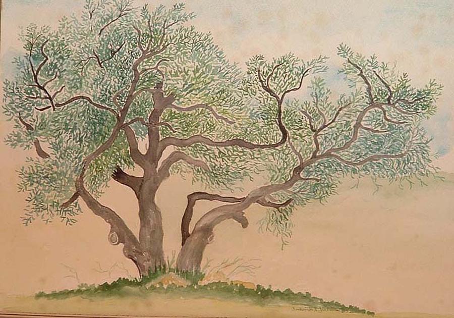 900x630 Old Oak Tree Painting By Fred Jinkins