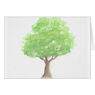 307x307 Watercolor Oak Tree Gifts On Zazzle Au
