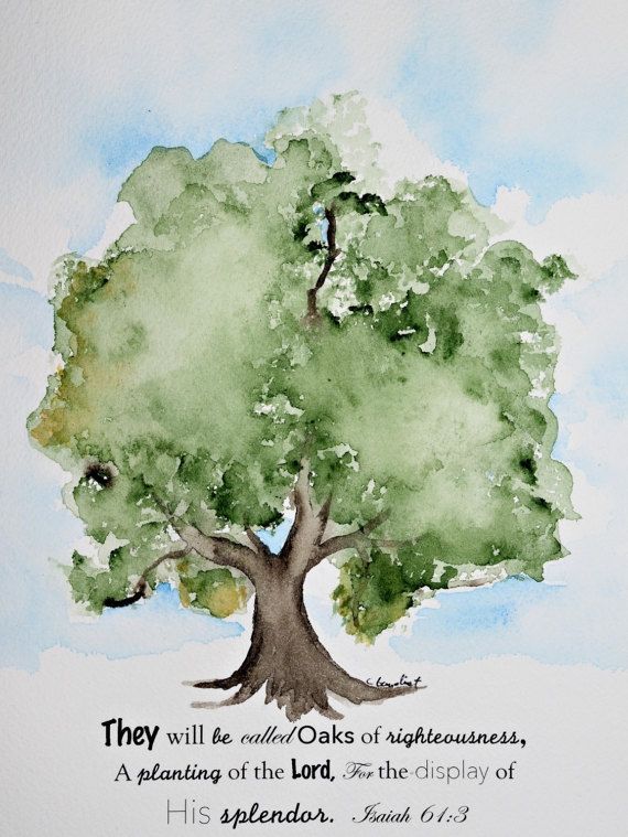 570x759 Watercolor Painting Gift, Oaks Of Righteousness, Isaiah 613
