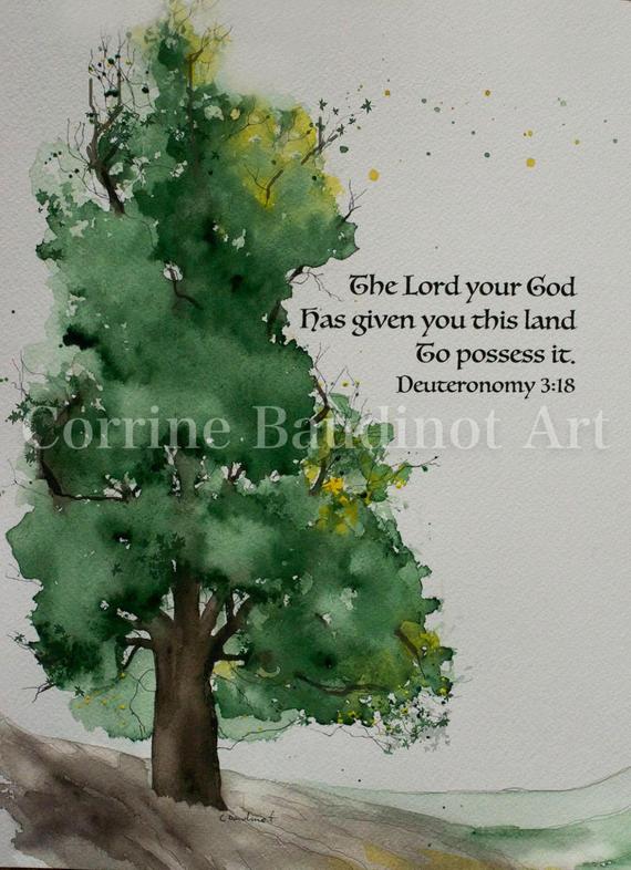 570x786 Watercolor Print From Original Painting Of Old Oak Tree With Etsy