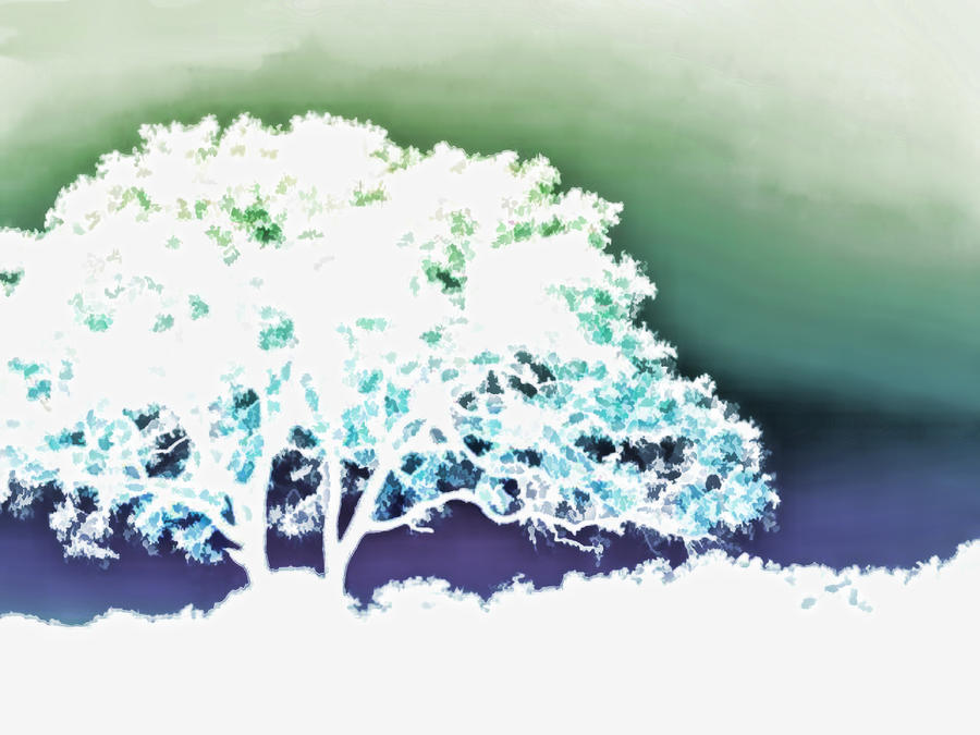 900x675 White Silhouette Of Oak Tree Against Blue And Green Watercolor