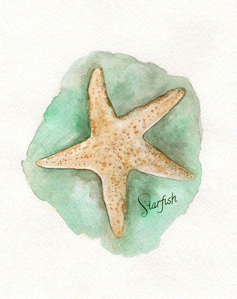 480x606 Ocean Life Package 5 Watercolor Prints For 90.00 By Kellybermudez