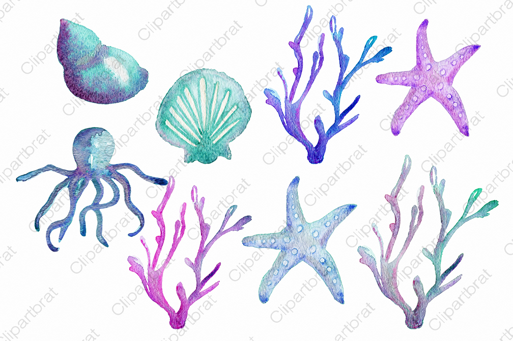 1008x671 Ocean Life Watercolor Graphic Set By Clipartbrat