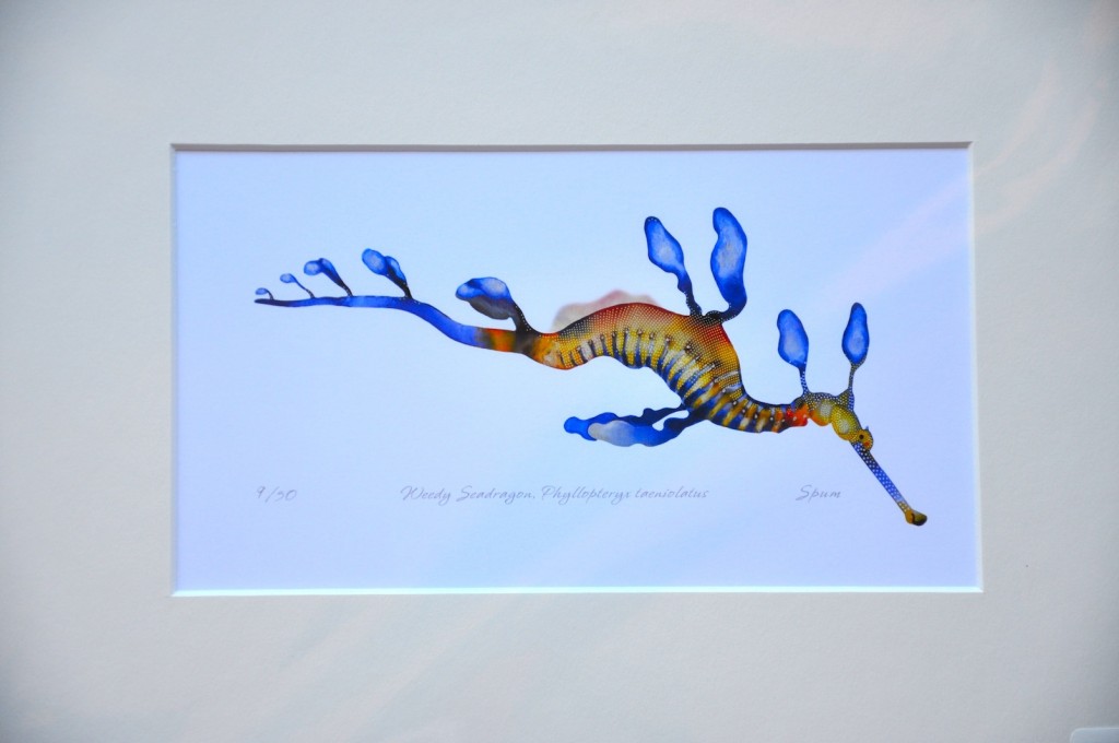 1024x680 Unique Gifts For Marine Life Lovers