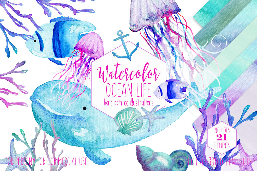 1008x671 Watercolor Ocean Life Clipart Commercial Use Clip Art Watercolour