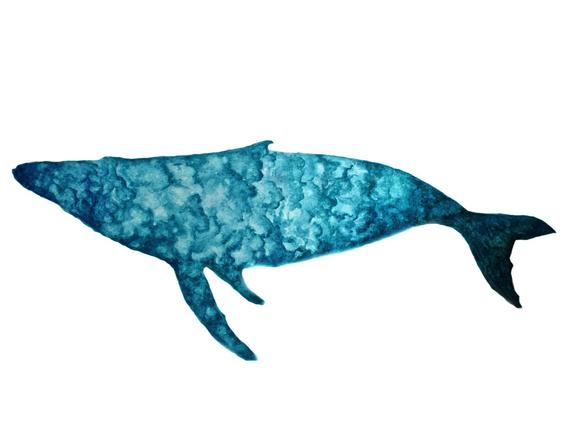 570x440 Water Whale Watercolor Whale Art Whale Painting Ocean Life Etsy