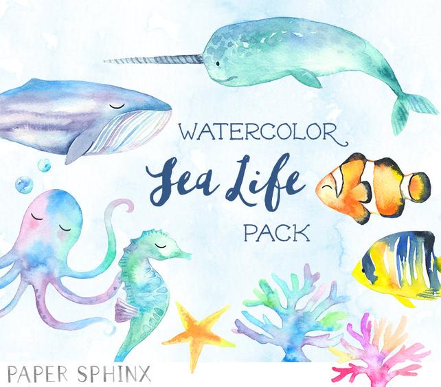 642x563 Watercolor Ocean Animals Clipart Fish Whale Nautical Etsy