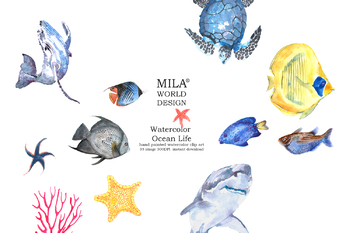 350x233 Watercolor Ocean Life Clipart By Milaworlddesign Tpt