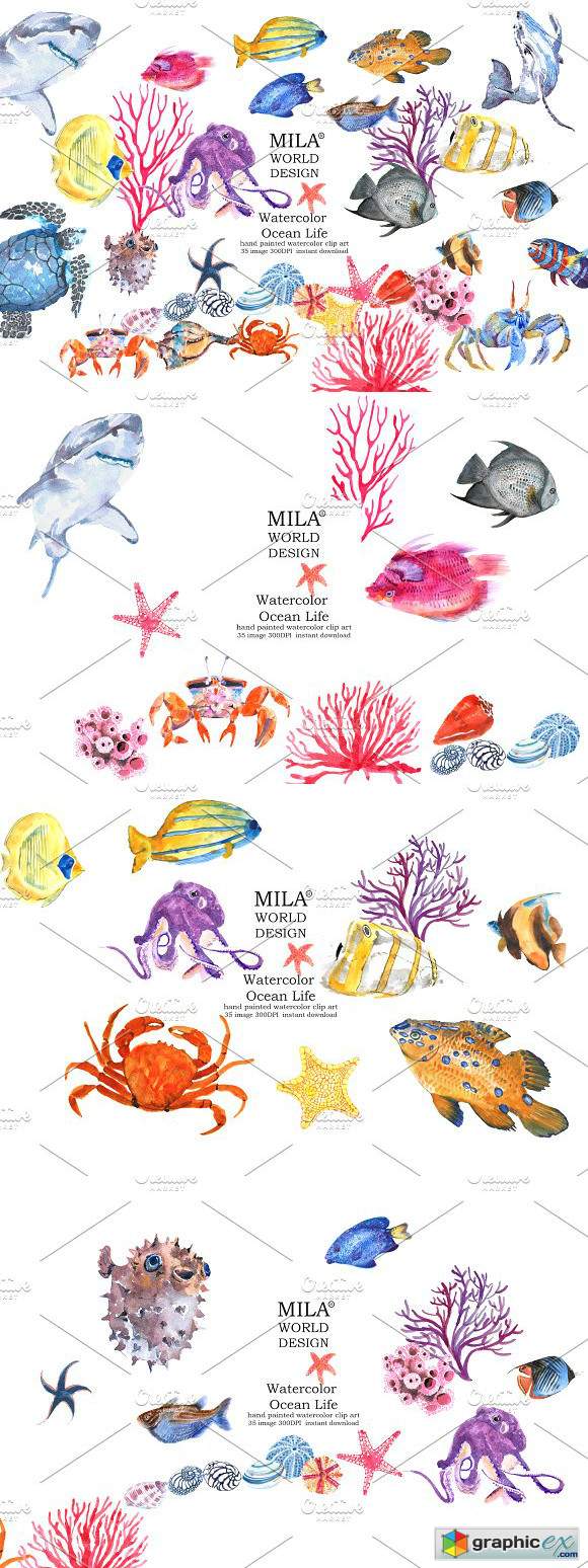 580x1548 Watercolor Ocean Life Clipart Free Download Vector Stock Image