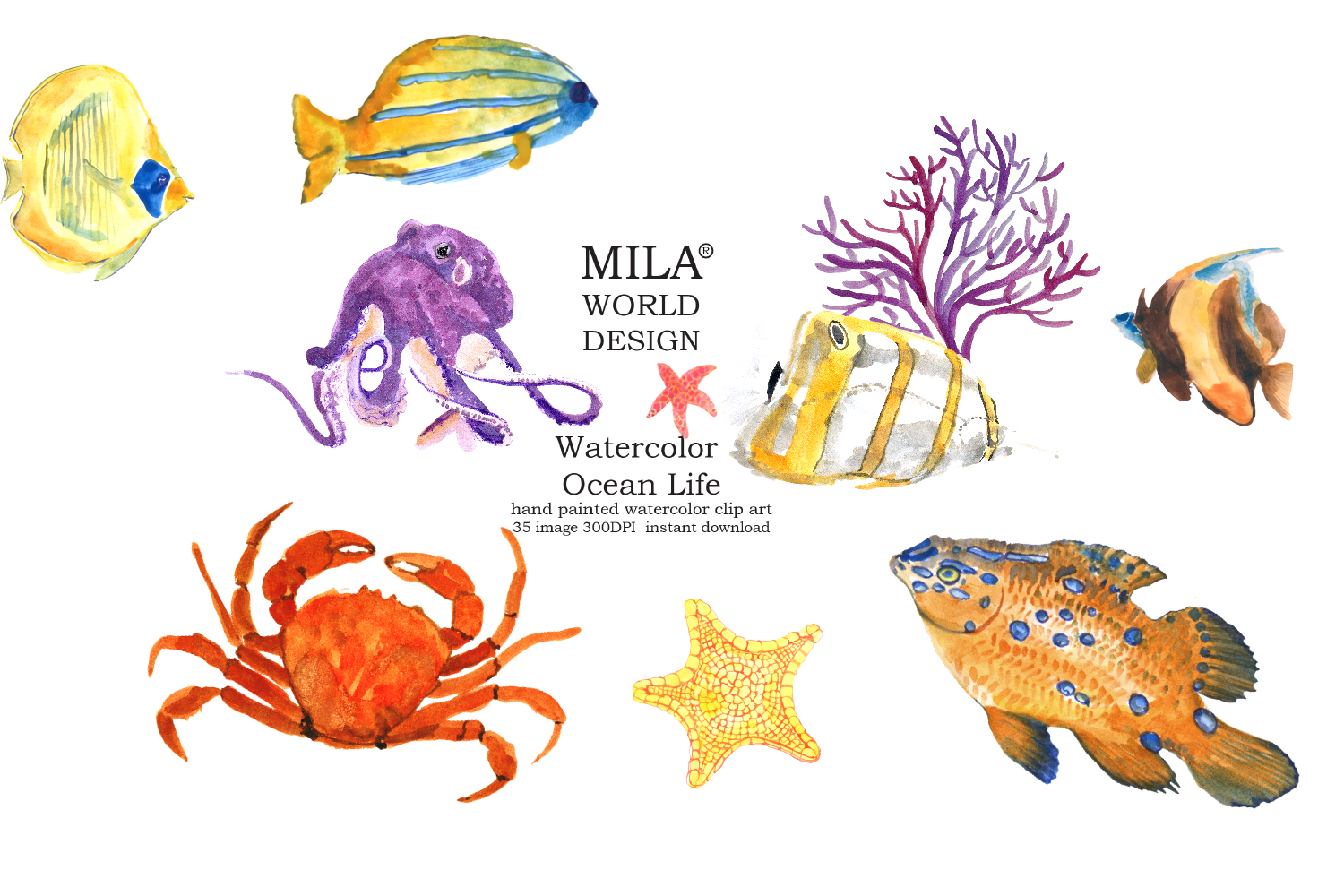 1500x1000 Watercolor Ocean Life Clipart