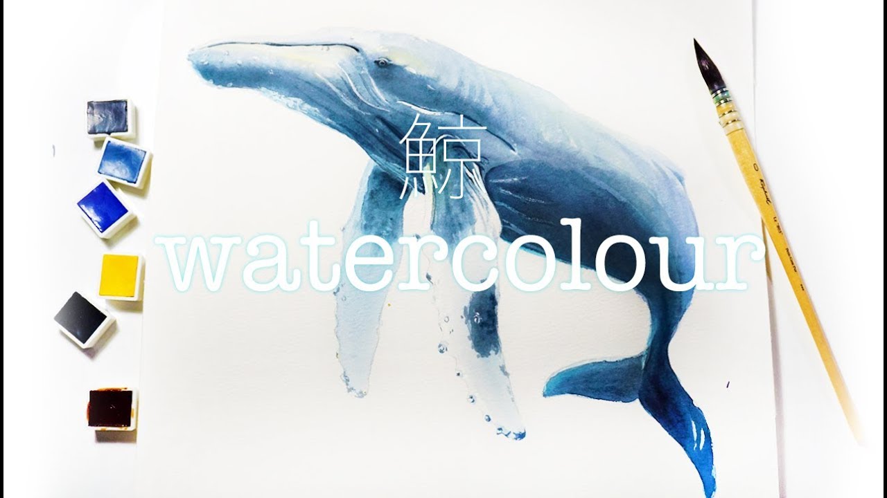1280x720 Watercolor Painting Whale Watercolour Humpback Whale Painting