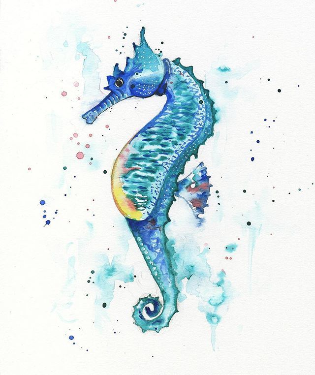 640x762 Ande Artist On Twitter Seahorse Watercolour Painting