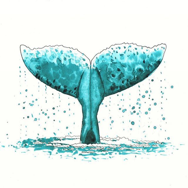640x640 Ande Artist On Twitter Whale Diving Watercolour Painting