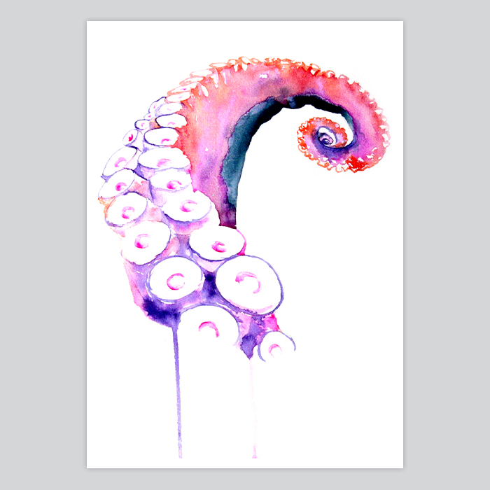 700x700 Octopus Watercolor Painting