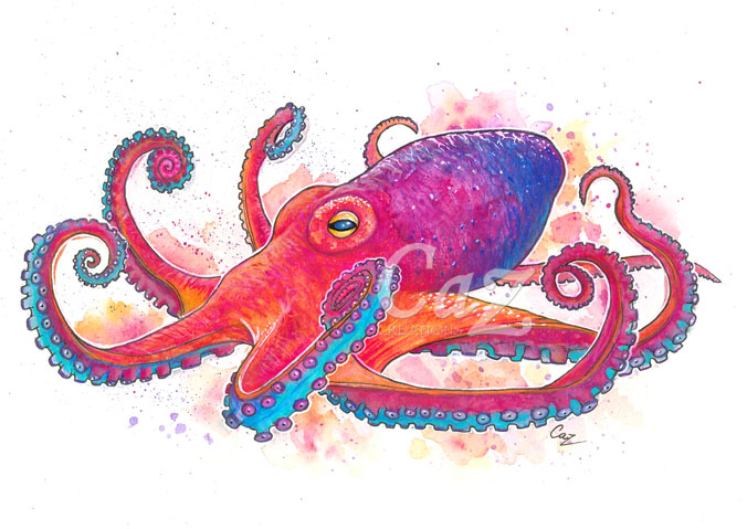 676x479 Vibrant Octopus Fine Art Watercolor By Cazziart