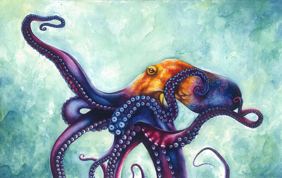 900x567 Rainbow Octopus Painting By Ashley Brown