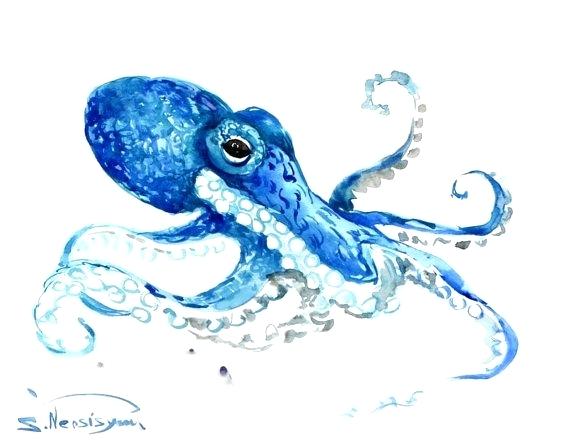 570x440 Watercolor Octopus Octopus Watercolor Print Watercolor Octopus