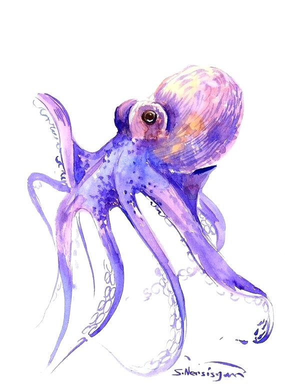 Watercolor Octopus Painting at GetDrawings | Free download