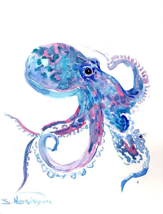 570x751 Blue Pink Octopus, Original Watercolor Painting, 10 X 8 In, Sky