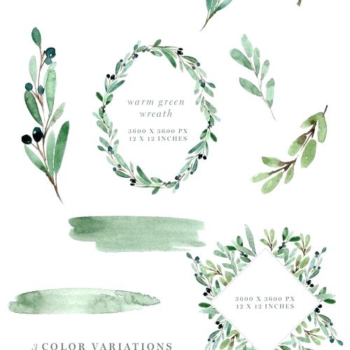 500x500 Olive Leaf Wreath Olive Garden Watercolor Olive Branch Set