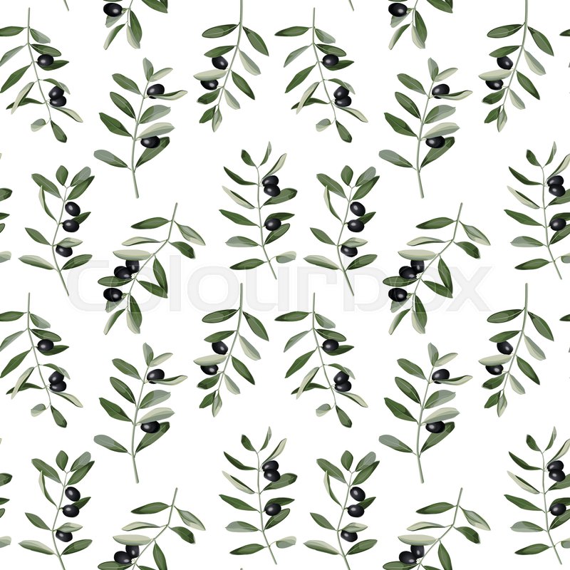 800x800 Olive Branch Seamless Pattern In Watercolor Style Isolated On