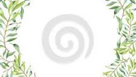 280x158 Watercolor Olive Branch Clipart All About Clipart