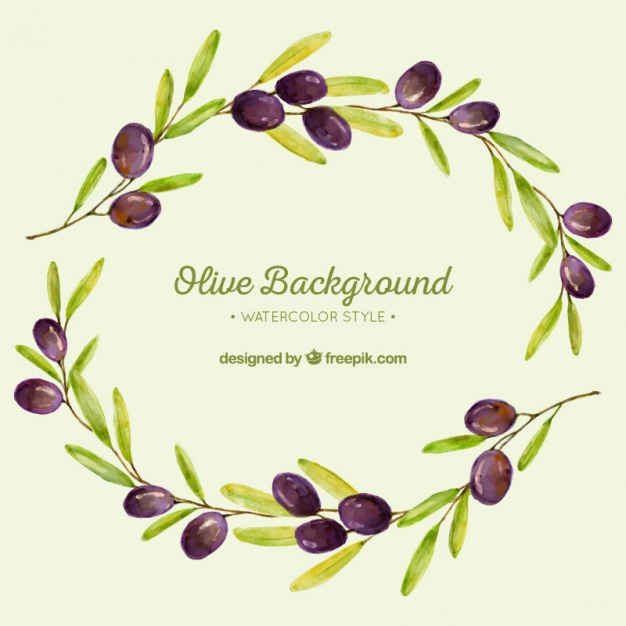 626x626 Watercolor Background Of Olive Branches Vector Free Download