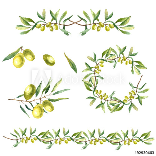 500x500 Watercolor Olive Branch Background.