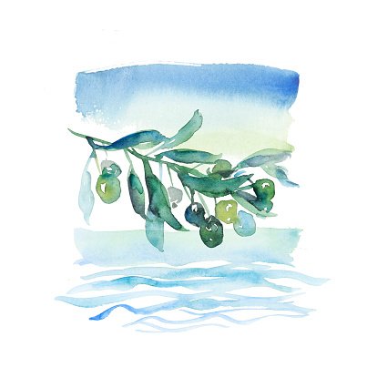 403x426 Olive Branch Paint Paint Watercolor Premium Clipart