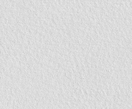 261x216 Carolynn Bunch Photography