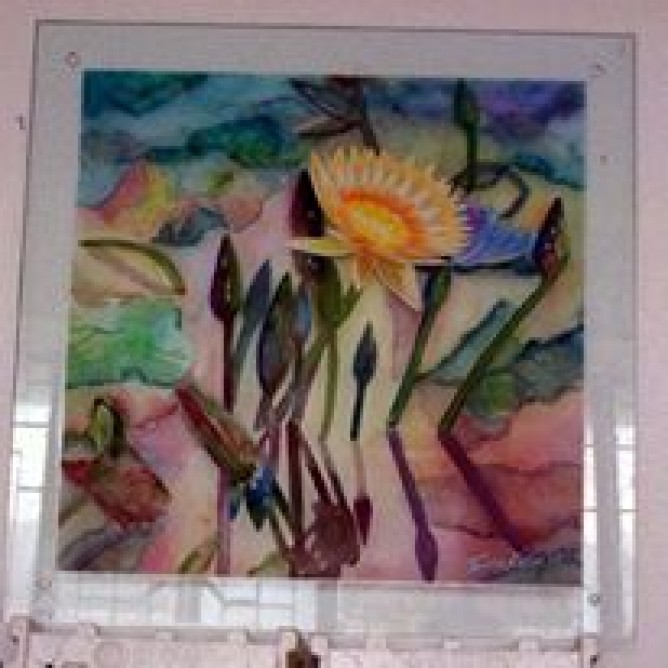 668x668 Taraq Kaiser